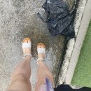 우가몰