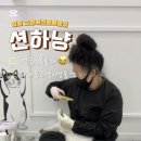 션하냥 이미지