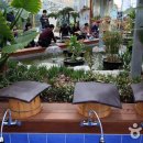 알로에테마파크 이미지