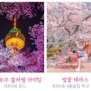 이월드 이미지