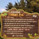 근린공원주유소 이미지