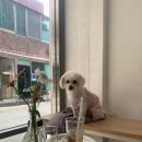 원앤모어(one&more) 이미지