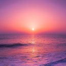 노을바다 이미지