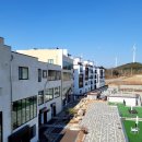 주식회사씨앤피 | <영덕> 나는솔로촬영지카페 내돈내산찐 리뷰