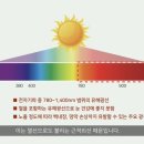 룩스토어(창원대동점) 이미지