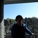 산목 이미지