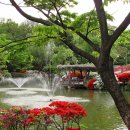 한국표준과학연구원 - 2513 | 한국표준과학연구원