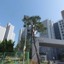 거제센트럴자이아파트 이미지