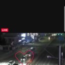 제주생두껍돈 이미지