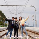 2019.04 일상 빠르게 흘러가는 봄날