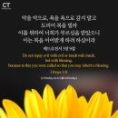 영성기독교 이미지