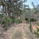 신대림주유소 이미지