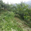 조아농장 이미지