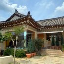 라임 | 경주여행 : 경주 예쁘고 좋은 곳만 골라골라! (경주 함양집 한우물회, 오스테리아밀즈, 대릉원, 올리브...