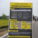 대야시장 | 대야 야시장 큰들야시장 후기