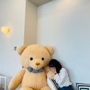플레모드 | [김제/카페] PLEMODE 플레모드(내돈내산)