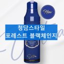 청담스타일 포레스트 블랙체인지 염색 샴푸 내돈내산 후기 사용방법 효과