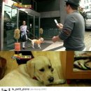 축복농장 이미지