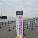 [됴쿄/요코하마] 미쿠 하나비