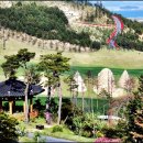 윈체스트컨트리클럽 서산 이미지