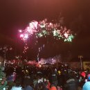 불꽃돼지 이미지