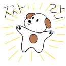 애견랜드 이미지