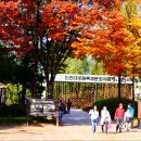 상동1교 이미지