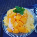 파스쿠찌 강진군청점 이미지