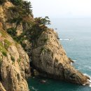 촌놈의 짬뽕 이미지