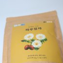 민들레 | 화곡원 하루힘차 흰민들레차, 대추차 체험 후기