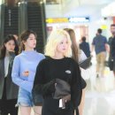 나경 이미지