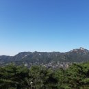 동숭숯불갈비