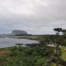 오조숙녀sea 이미지