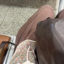 남양하우스 | 5/18 - 5/20 대전여행 | 어쩌다보니 2박 3일
