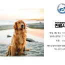 인덕원동물의료센터 네이버블로그