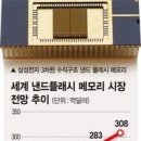 테라비트 이미지