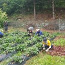 오두리 농장 이미지