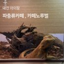 노루벌 | 대전 아이랑 카페 , 파충류 카페 노루벌