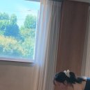 [위아요가/아차산역 요가]매일 수련을 못해서 불안해요, 혹시 운동 강박일까요? 이미지
