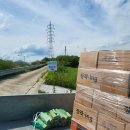 글램코티지 이미지