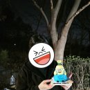 키쿠케이크 이미지