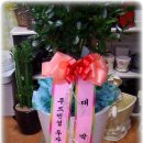꽃향기화장품 - 남동구 장아산로 181 | 꽃향기화장품