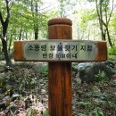 소똥령마을 이미지