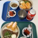 카카모루 성수점 | 성수] 카레 맛집 카카모루 후기, 추천/성수 카레, 돈카츠