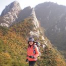 불광2-016 이미지