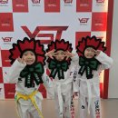 용인대동아태권도 네이버블로그