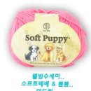 w소프트 이미지