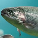 목계숲 1 이미지