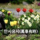 사유시