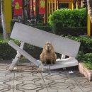 영주해피마트 | 1월 제출 ♥